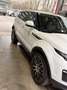 Rover Sonstige Range Rover Evoque SE 2,0 TD4 SUV / Gel Weiß - thumbnail 4