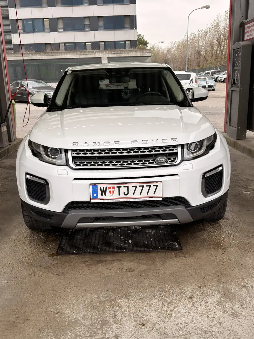 Rover Sonstige Range Rover Evoque SE 2,0 TD4 SUV / Gel Weiß - 1