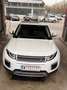 Rover Sonstige Range Rover Evoque SE 2,0 TD4 SUV / Gel Weiß - thumbnail 3