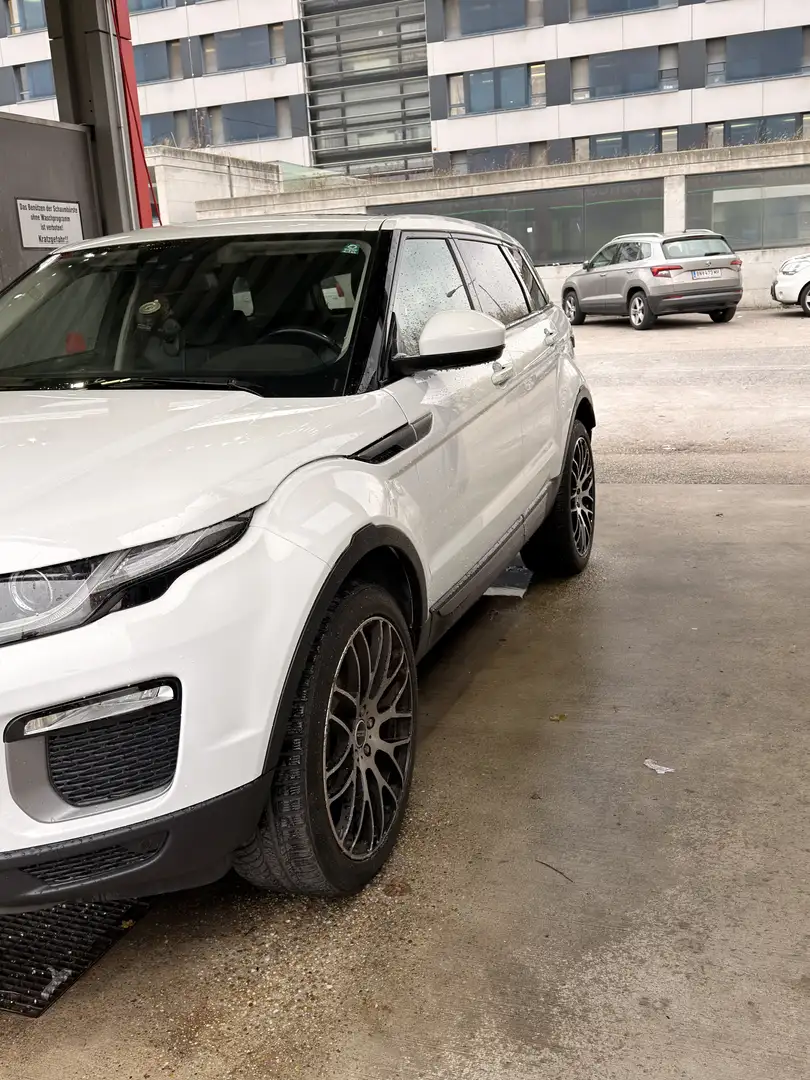 Rover Sonstige Range Rover Evoque SE 2,0 TD4 SUV / Gel Weiß - 2