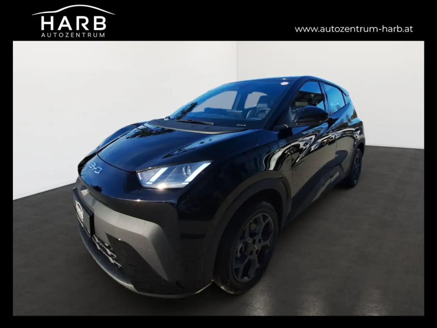 BYD Dolphin Surf Boost Schwarz - 1