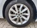 Skoda Superb Kombi 2,0 TDI Style DSG *Matrix-LED*Panorama*AC... Blanc - thumbnail 39