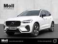 Volvo XC60 Plus Dark Recharge Plug-In Hybrid AWD T8 Twin Engi Weiß - thumbnail 1