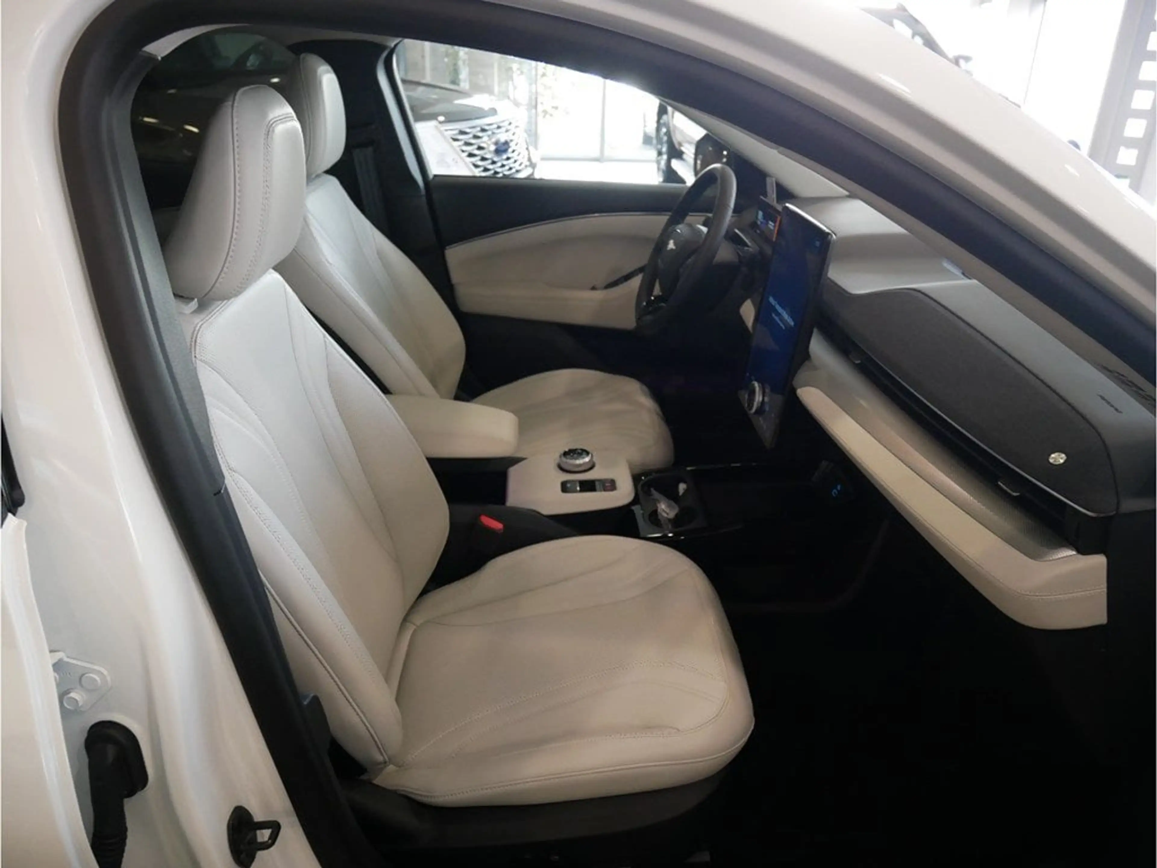 Ford Mustang Mach-E 91 kWh Premium AWD — photo 10