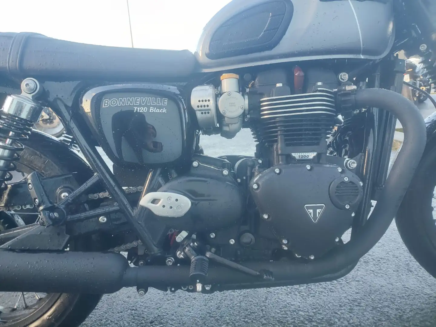 Triumph Bonneville T120 Gris - 2