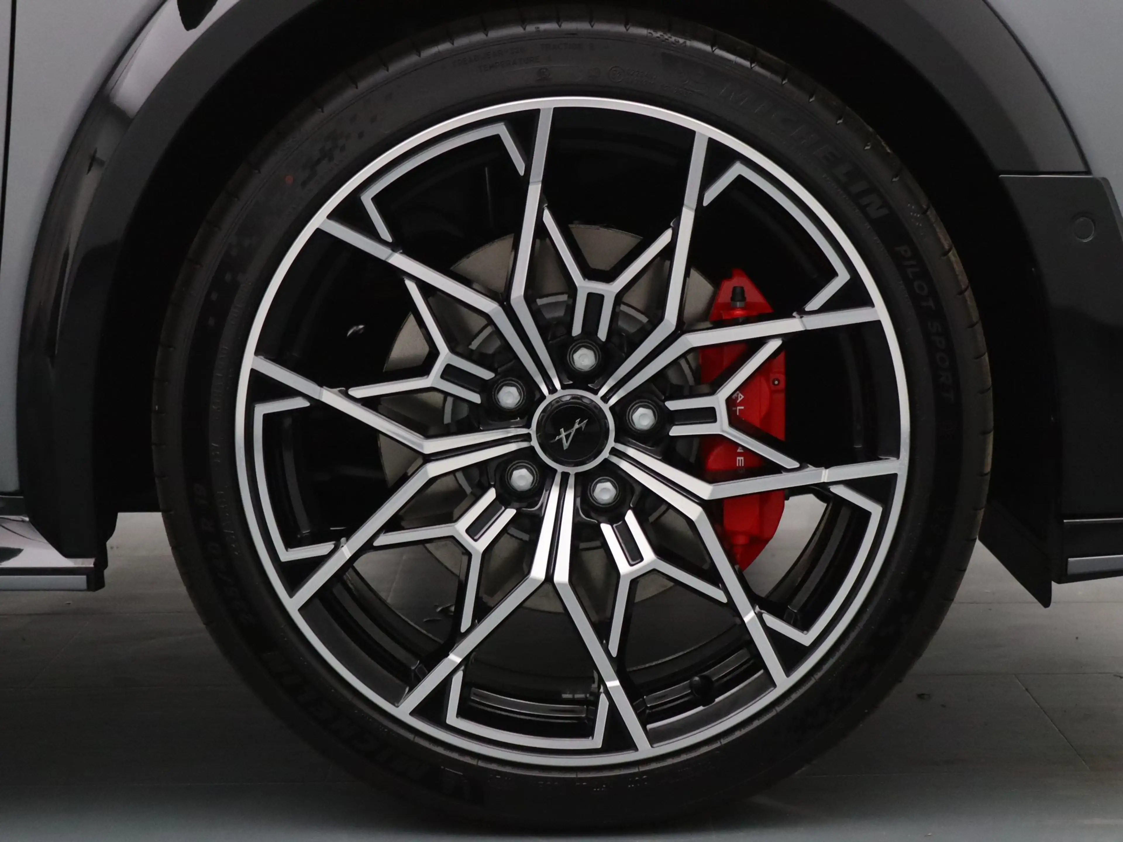 Alpine A290 GT Premium 52 kWh Lichtmetalen Velgen 19" Snowflak — photo 38