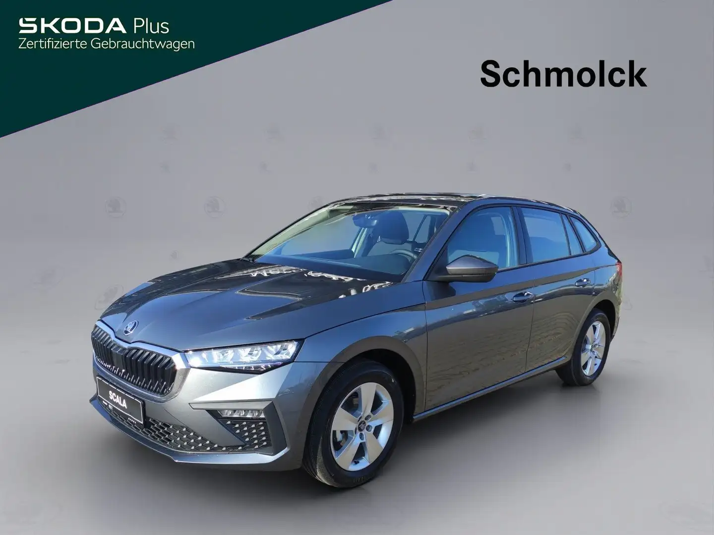 Skoda Scala Essence 1.0 TSI 95PS DAB PDC SMART LINK Grau - 1