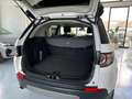 Land Rover Discovery Sport 2.0 eD4 150 CV 2WD Pure Bianco - thumbnail 11