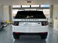 Land Rover Discovery Sport 2.0 eD4 150 CV 2WD Pure Bianco - thumbnail 12