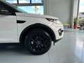 Land Rover Discovery Sport 2.0 eD4 150 CV 2WD Pure Bianco - thumbnail 9