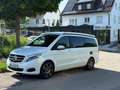 Mercedes-Benz V 250 CDI Marco Polo EDITION 2xSHZ AHK EASY-UP Weiß - thumbnail 8