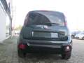 Fiat Panda Pandina Cross 1.0 firefly hybrid REAL PRICE Verde - thumbnail 11