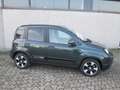 Fiat Panda Pandina Cross 1.0 firefly hybrid REAL PRICE Verde - thumbnail 8
