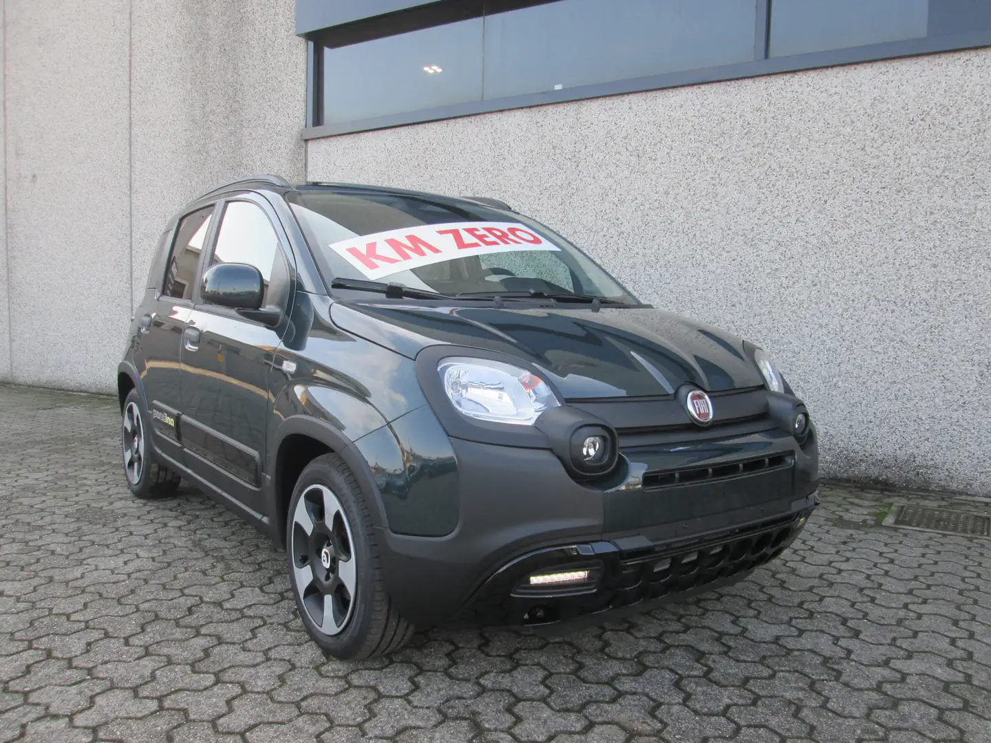 Fiat Panda Pandina Cross 1.0 firefly hybrid REAL PRICE Verde - 2