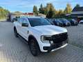 Ford Ranger Wildtrak e-4WD Doppelkabine LED-NAVI-AHK-SPUR Blanc - thumbnail 1