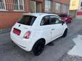 Fiat 500 0.9 t.air t. Sport 85cv TETTO Weiß - thumbnail 5