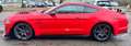 Ford Mustang Mustang Fastback 5.0 ti-vct V8 GT 450cv auto my19 Rosso - thumbnail 8