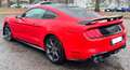Ford Mustang Mustang Fastback 5.0 ti-vct V8 GT 450cv auto my19 Rosso - thumbnail 6