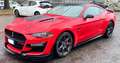 Ford Mustang Mustang Fastback 5.0 ti-vct V8 GT 450cv auto my19 Rosso - thumbnail 7