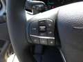 Ford Transit Kasten Trend 350L3 #Techno 10 #GJR Grau - thumbnail 8