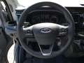 Ford Transit Kasten Trend 350L3 #Techno 10 #GJR Grau - thumbnail 6