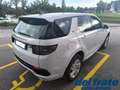 Land Rover Discovery Sport 2.0 SD4 240Cv Mild-Hybrid AWD Auto R-Dynamic Weiß - thumbnail 5