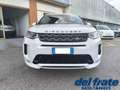 Land Rover Discovery Sport 2.0 SD4 240Cv Mild-Hybrid AWD Auto R-Dynamic Weiß - thumbnail 8