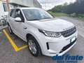 Land Rover Discovery Sport 2.0 SD4 240Cv Mild-Hybrid AWD Auto R-Dynamic Weiß - thumbnail 7