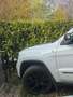 Jeep Grand Cherokee trailhawk Blanc - thumbnail 10
