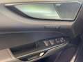 Lexus NX 350h 350h 2.5 F-Sport 4WD e-CVT Grigio - thumbnail 15