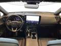 Lexus NX 350h 350h 2.5 F-Sport 4WD e-CVT Grigio - thumbnail 9