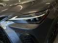 Lexus NX 350h 350h 2.5 F-Sport 4WD e-CVT Grigio - thumbnail 6