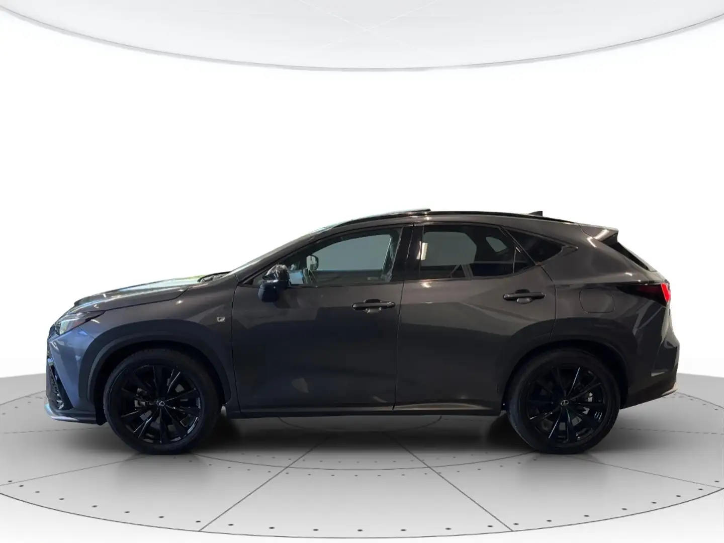 Lexus NX 350h 350h 2.5 F-Sport 4WD e-CVT Grigio - 2