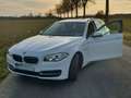 BMW 520 520d Kombi, Aut., Haed Up,Leder,Xenon,ALU Weiß - thumbnail 2