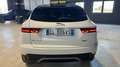 Jaguar E-Pace 2.0d i4 R-Dynamic SE awd 150cv auto my19 Blanc - thumbnail 6