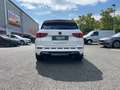 CUPRA Ateca 2.0 TSI 4Drive OPF *360 KAM Klima Navi Bianco - thumbnail 4