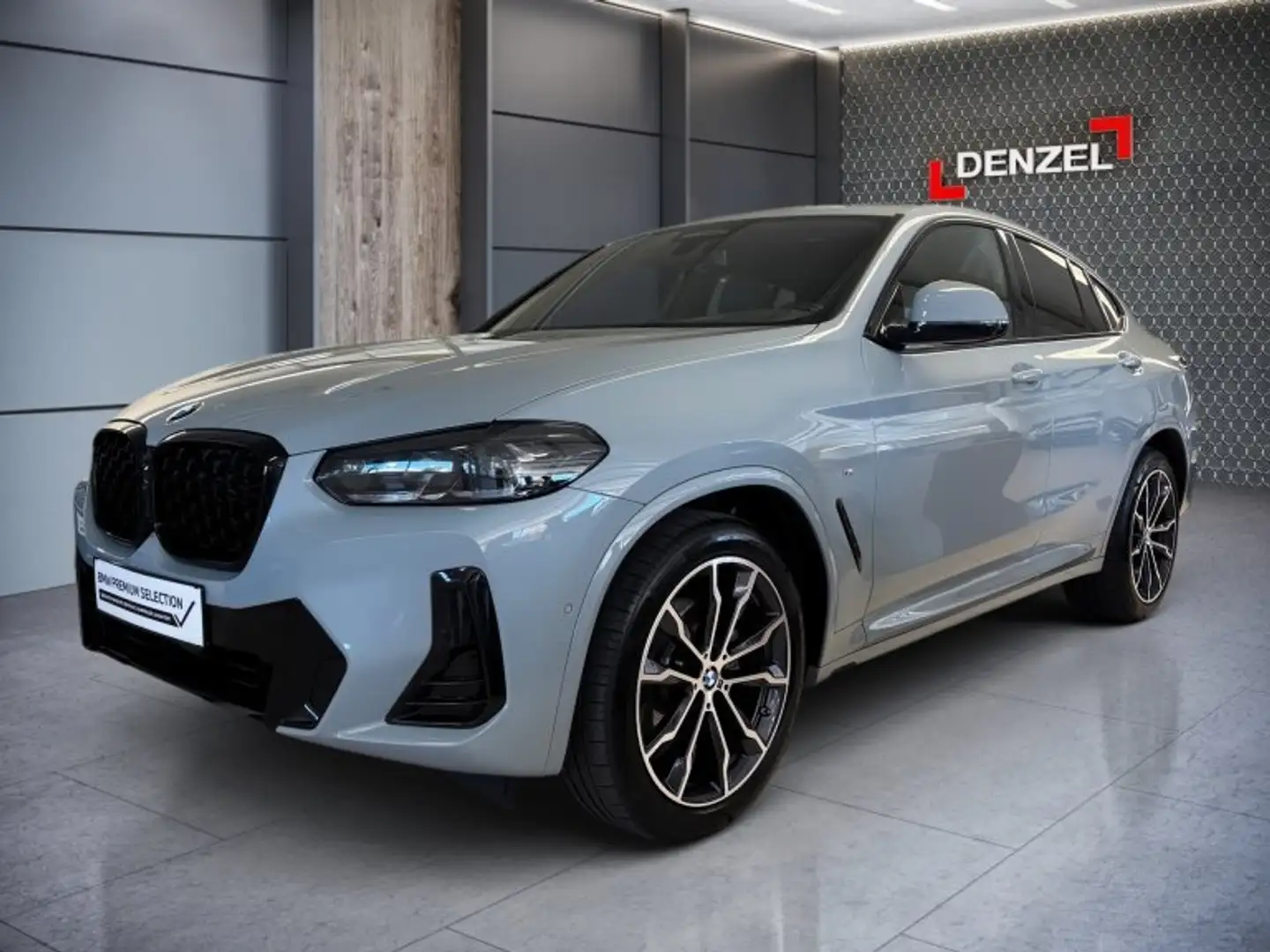 BMW X4 xDrive20d G02 B47 Gris - 1