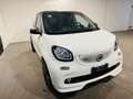 smart brabus *BRABUS*SCARICHI*109 CV*NAVIGATORE* RISCALDABILI* Blanc - thumbnail 3