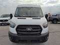 Ford Transit Transit Kasten 2,0 EcoBlue L3H2 350 Trend Weiß - thumbnail 8