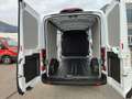 Ford Transit Transit Kasten 2,0 EcoBlue L3H2 350 Trend Weiß - thumbnail 10