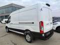 Ford Transit Transit Kasten 2,0 EcoBlue L3H2 350 Trend Weiß - thumbnail 4
