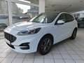 Ford Kuga ST-Line Aut/Panorama/Kamera/AHK Weiß - thumbnail 4