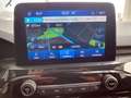 Ford Kuga ST-Line Aut/Panorama/Kamera/AHK Weiß - thumbnail 13