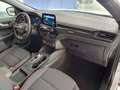 Ford Kuga ST-Line Aut/Panorama/Kamera/AHK Weiß - thumbnail 9