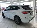 Ford Kuga ST-Line Aut/Panorama/Kamera/AHK Weiß - thumbnail 6