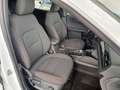 Ford Kuga ST-Line Aut/Panorama/Kamera/AHK Weiß - thumbnail 17