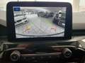 Ford Kuga ST-Line Aut/Panorama/Kamera/AHK Weiß - thumbnail 11