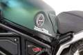 Benelli Leoncino Leoncino 800 Trail (2022 - 25) - thumbnail 7