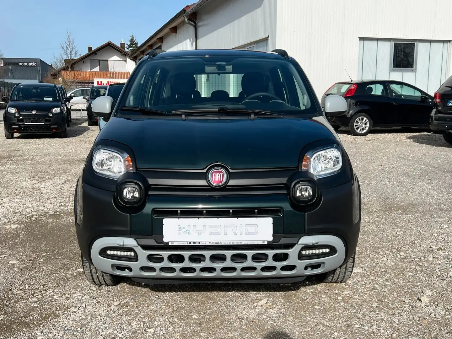 Fiat Panda Cross Hybrid GARMIN Sondermodell Carplay Groen - 2