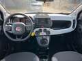 Fiat Panda Cross Hybrid GARMIN Sondermodell Carplay Groen - thumbnail 5